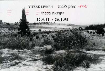 Yitzak Livneh - Coffee Reading